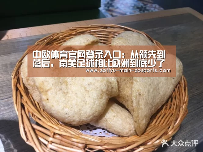 中欧体育官方网站最新版