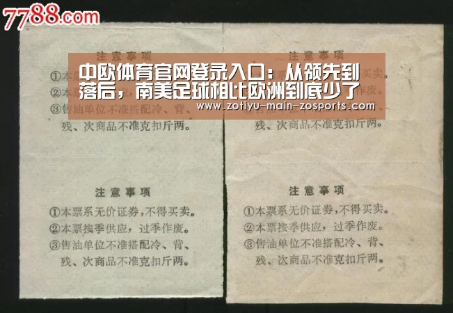中欧体育官网登录入口