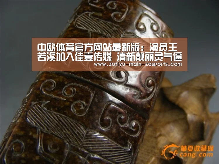 中欧体育官方网站下载