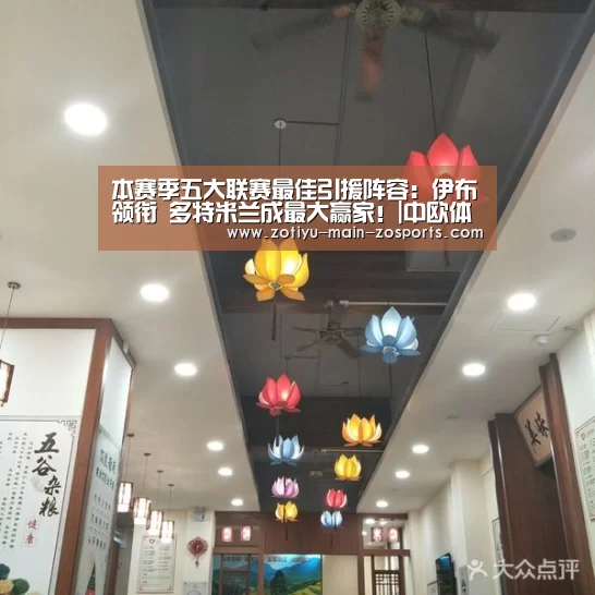 中欧体育app官方下载