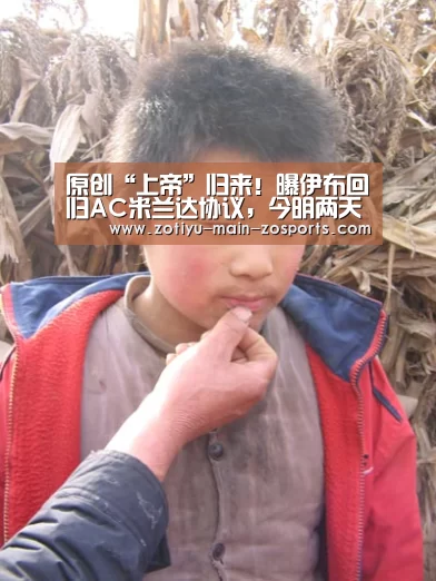 中欧体育官方网站最新版