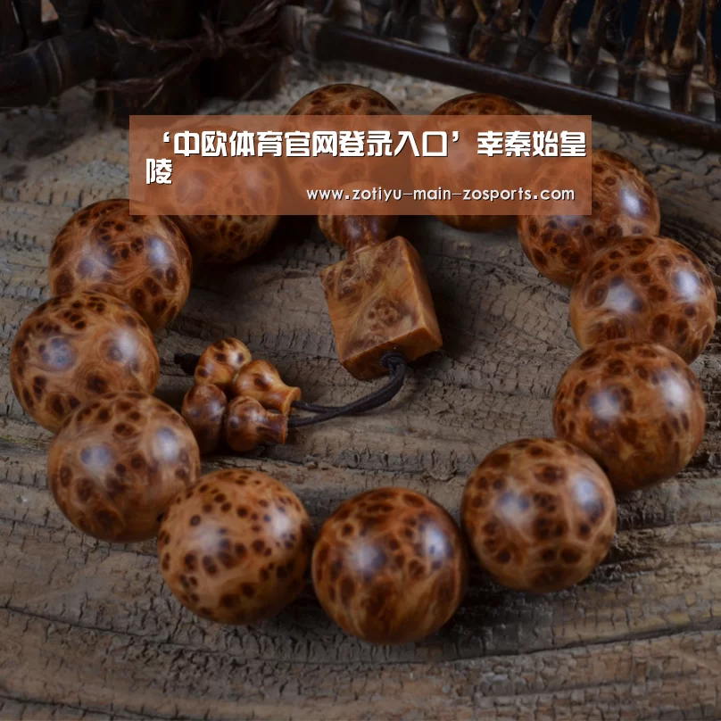中欧体育官网登录入口