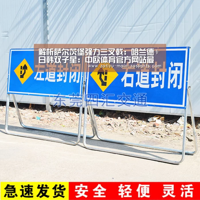 解析萨尔茨堡强力三叉戟:哈兰德+日韩双子星:中欧体育官方网站最新版(图2) 中欧体育官方网站下载