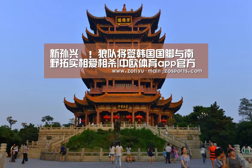 中欧体育官方网站下载