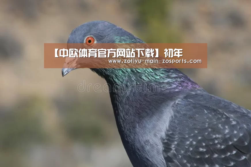 中欧体育官网登录入口