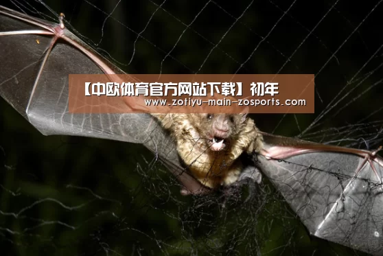 中欧体育官网登录入口