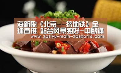 海新歌《北京--挤地铁》全球首推 站台风景独好-中欧体育官方网站最新版(图2) 中欧体育官网登录入口