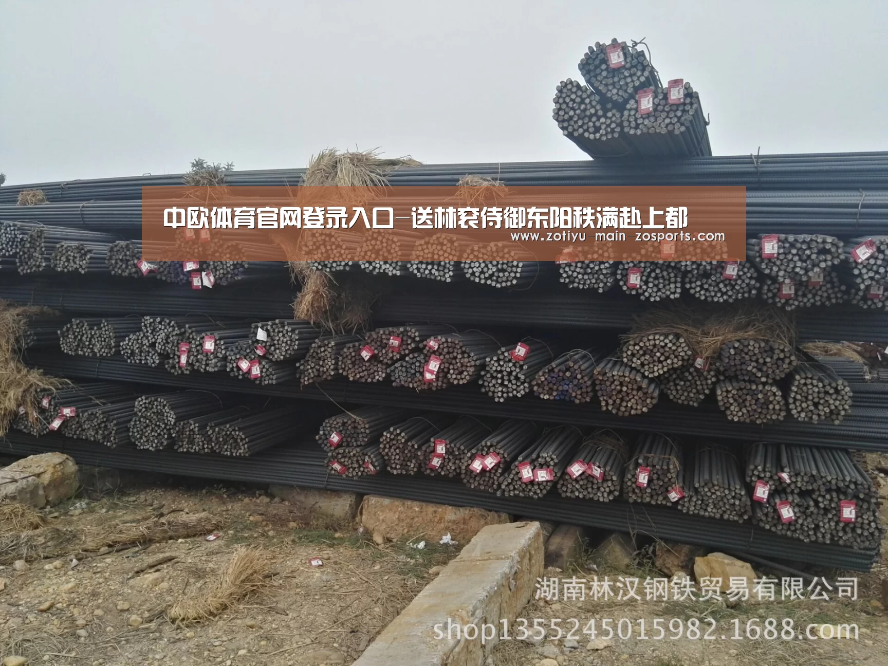 中欧体育官网登录入口-送林衮侍御东阳秩满赴上都(图2) 中欧体育官方网站最新版